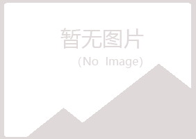 保山隆阳小夏化学有限公司